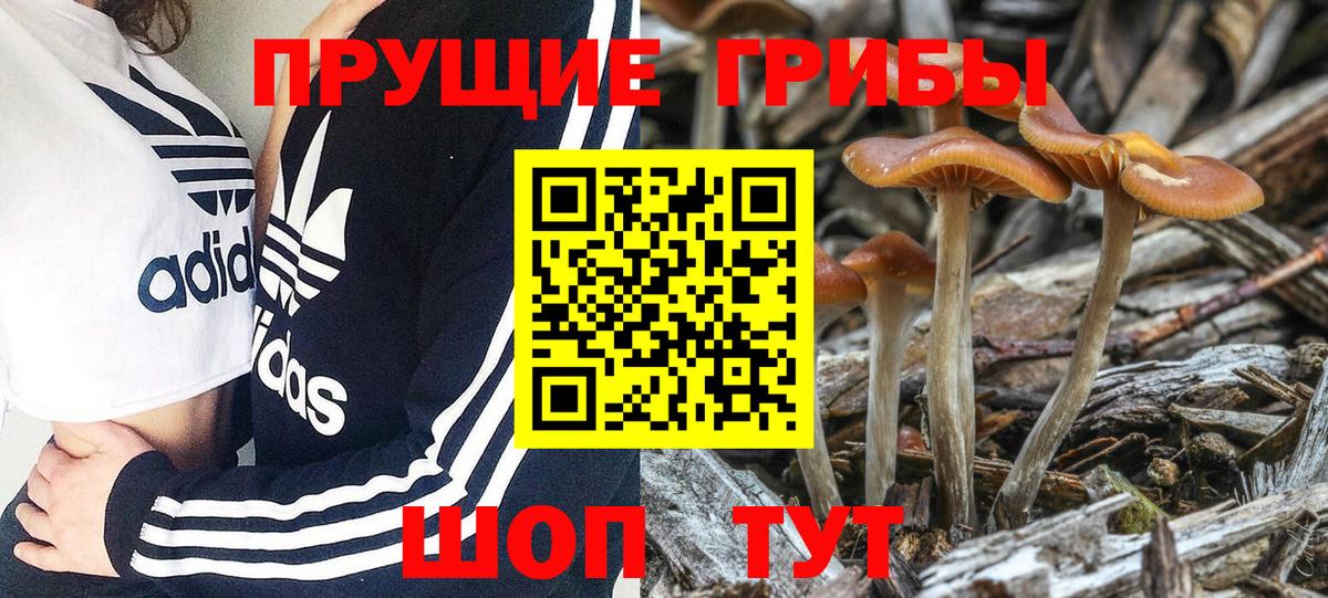 Галлюциногенные грибы Cubensis  Вход с VPN  Тольятти 