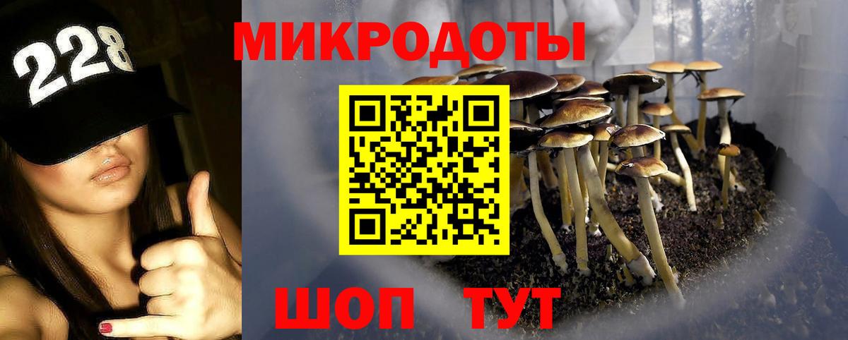 Галлюциногенные грибы мухоморы Тольятти